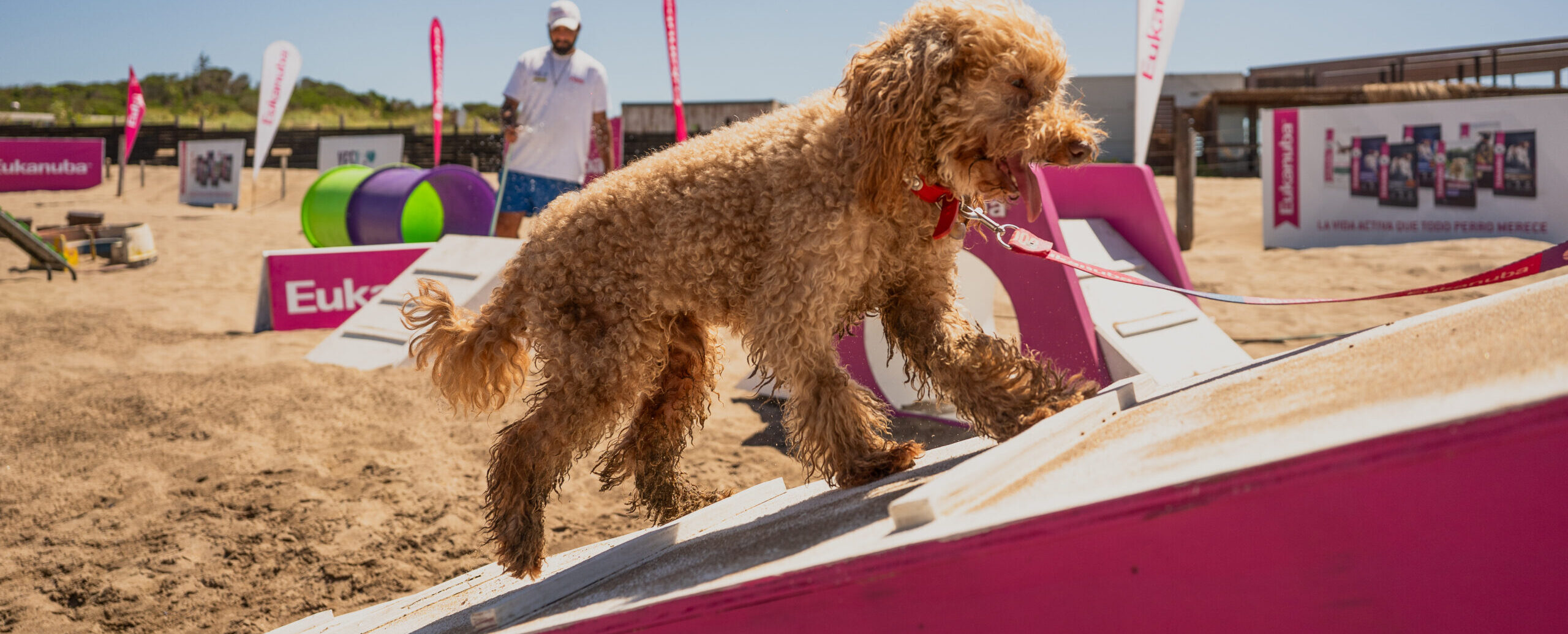 6 - Verano Eukanuba 2025