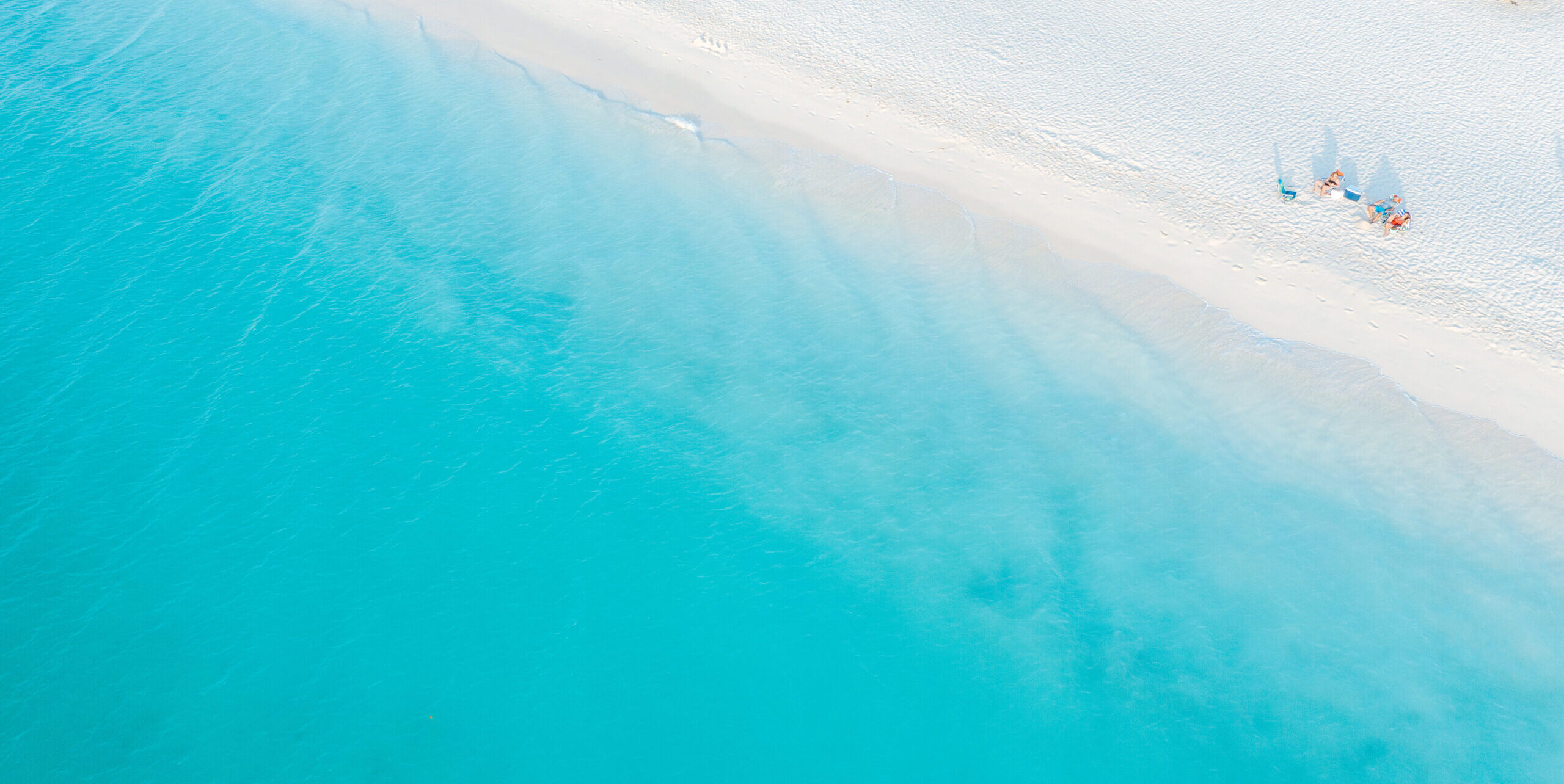 Eagle Beach de Aruba, reconocida como la mejor playa del Caribe en los Premios Travelers’ Choice, Playas 2025 y la tercera mejor del mundo