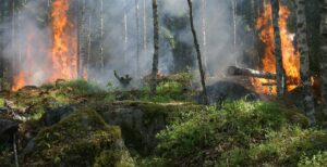 Garmin Argentina se une a la lucha contra los incendios en la Patagonia