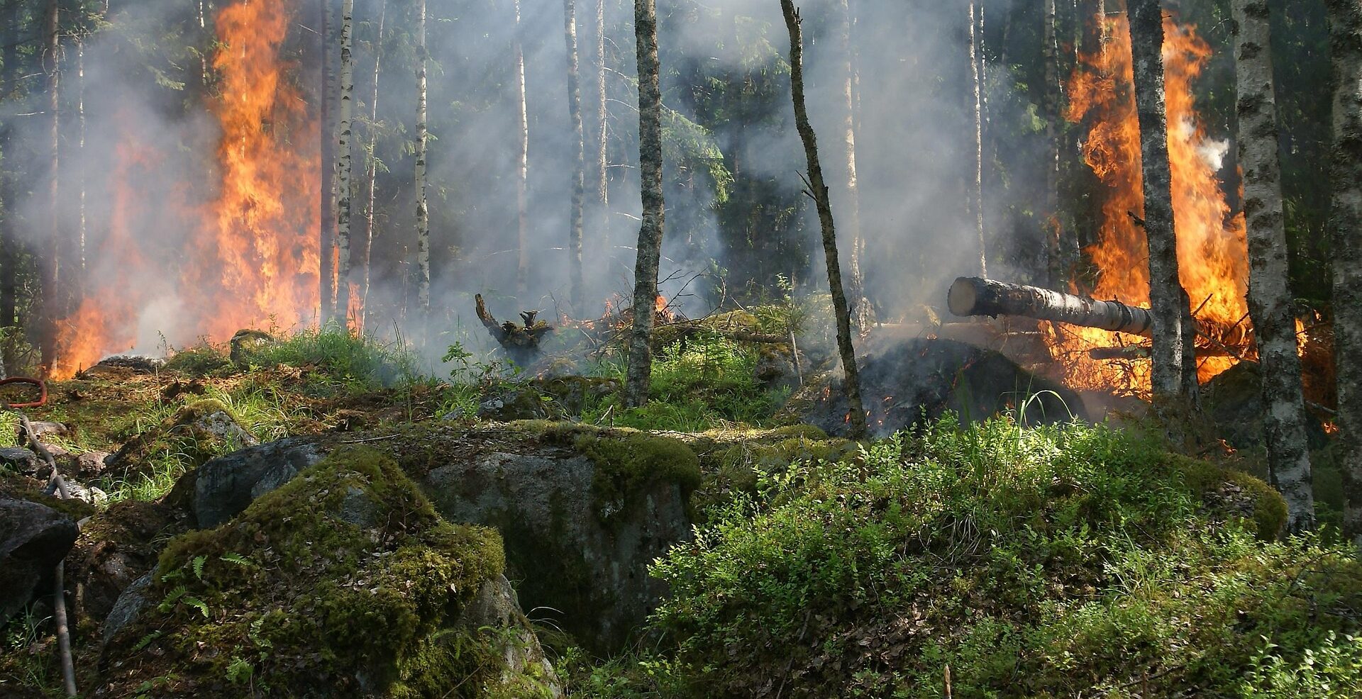 Garmin Argentina se une a la lucha contra los incendios en la Patagonia