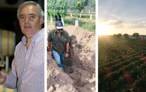 New Phototastic Collage