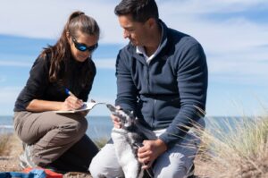 f55af72e-596d-0365-59b0-b912f0b33dda