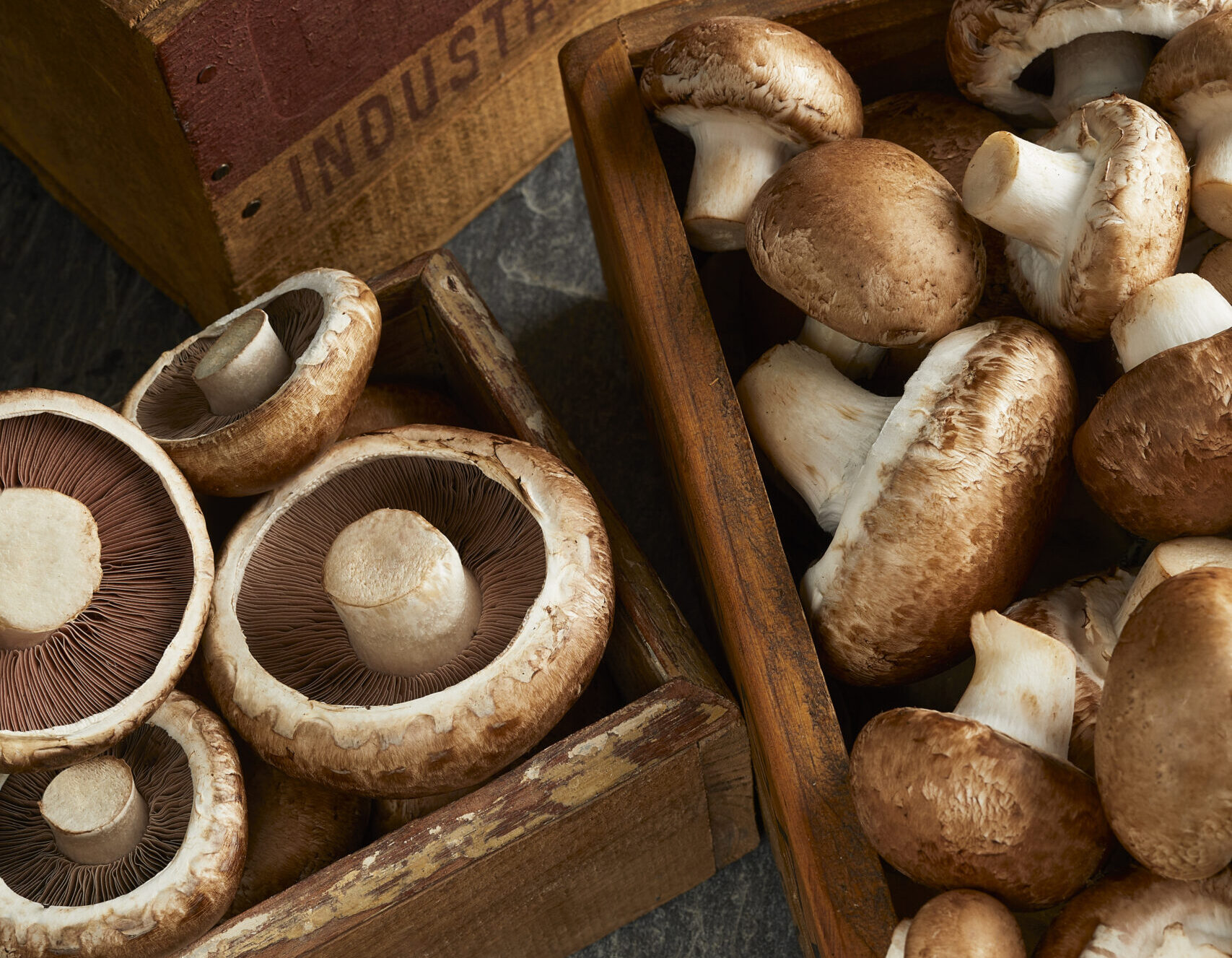 Los hongos pisan fuerte: una tendencia saludable que crece en Argentina 