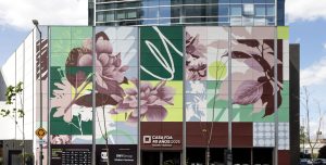 CASA FOA 40 AÑOS SE EXTIENDE UNA SEMANA MÁS