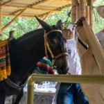 Yumbo, de Capital industrial a un destino de naturaleza que nadie esperaba
