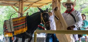 Imagen de WhatsApp 2025-12-02 a las 19.07.51_4473bd3f