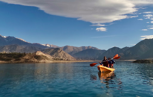 Mendoza seleccionada entre las cinco regiones vitivinícolas más destacadas del mundo