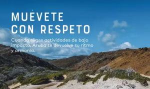 Reglas-Aruba-Espanol 2 (1)