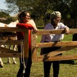 Equinomancia , la magia de los caballos que te ayuda a sanar